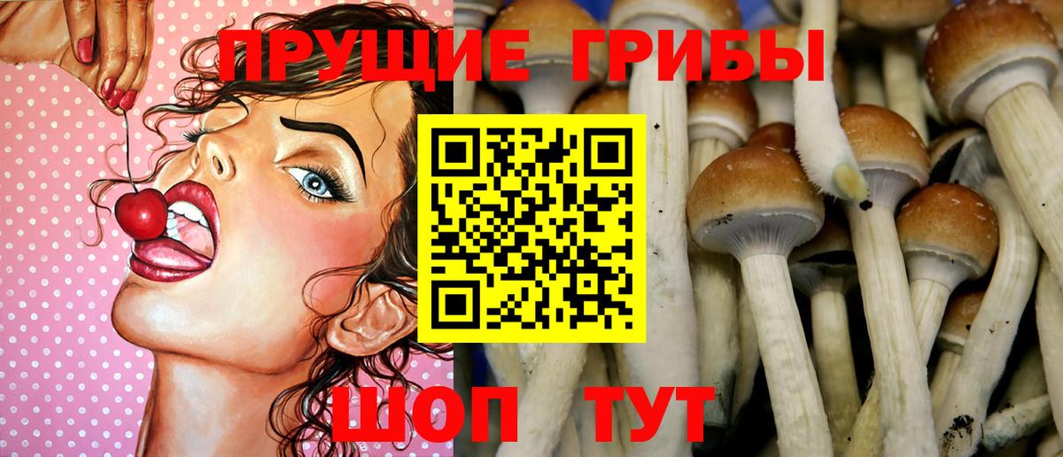 Галлюциногенные грибы ЛСД Домодедово