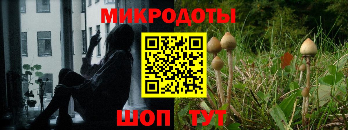 Домодедово  Псилоцибиновые грибы Magic Shrooms  как найти   Псилоцибиновые грибы Magic Shrooms  Вход с VPN 